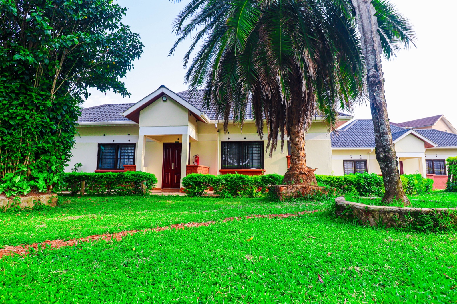 The Westgate Inn garden cottages with palm trees and lawn