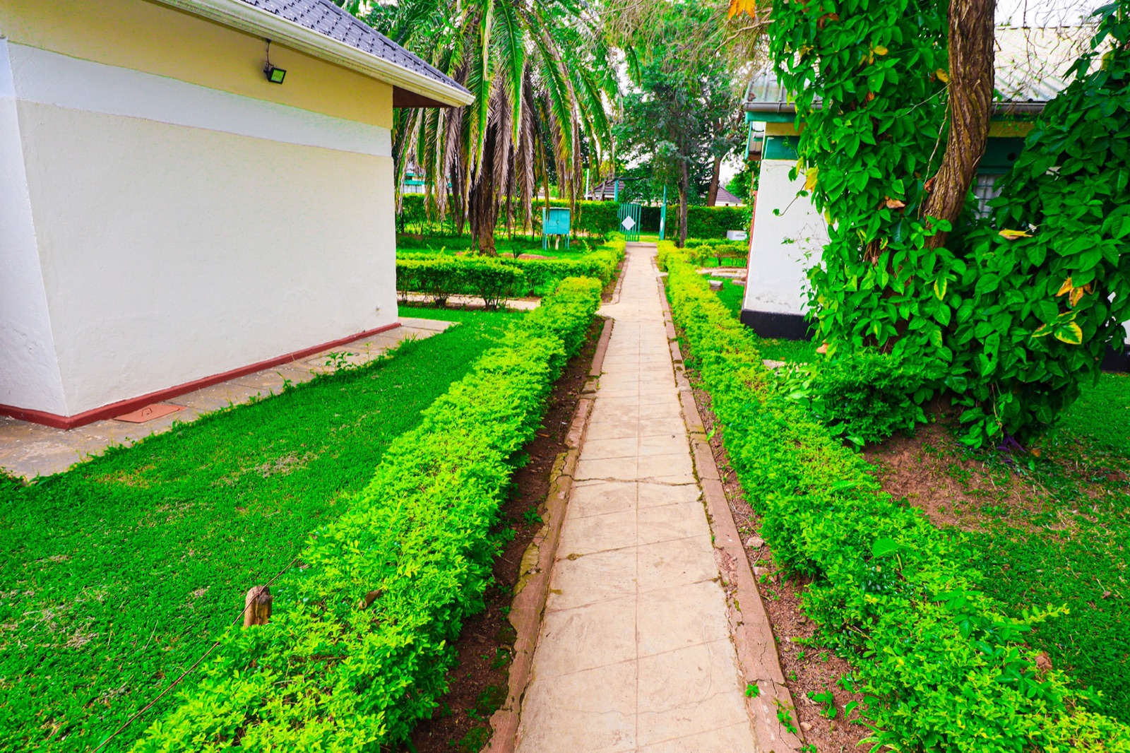 Landscaped gardens at The Westgate Inn